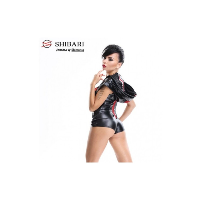 Hoshi Lingerie and Shibari Pack