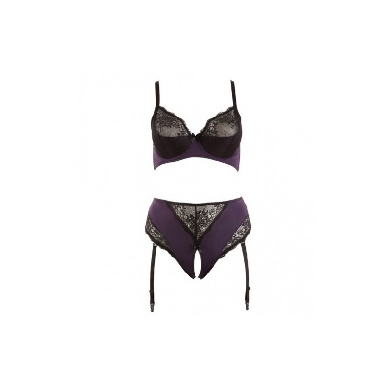 Plus Size Purple Lingerie Set