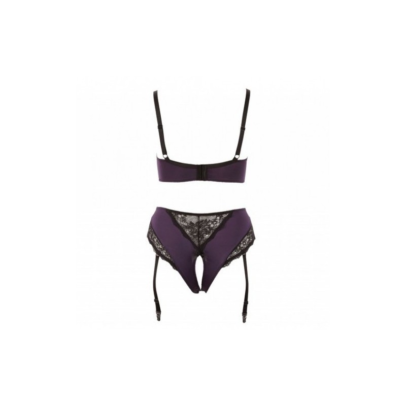 Plus Size Purple Lingerie Set