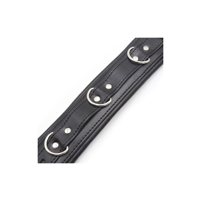 Μεταλλική μπάρα με δερμάτινα δεσμά περιορισμού του λαιμού και των χεριών