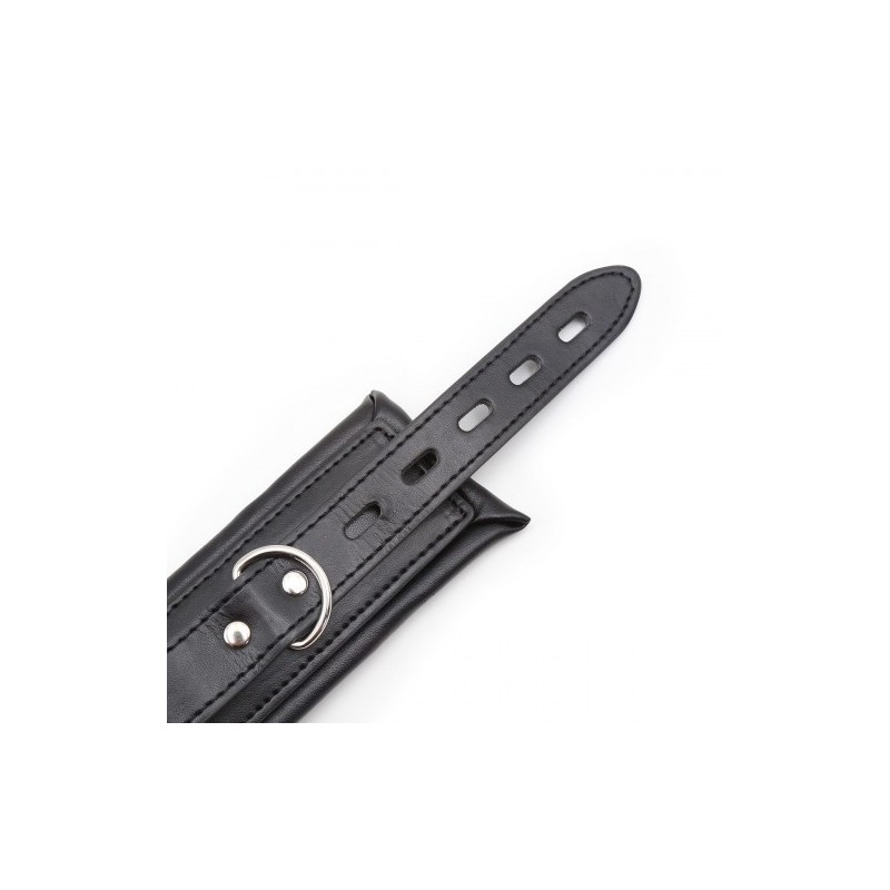 Μεταλλική μπάρα με δερμάτινα δεσμά περιορισμού του λαιμού και των χεριών