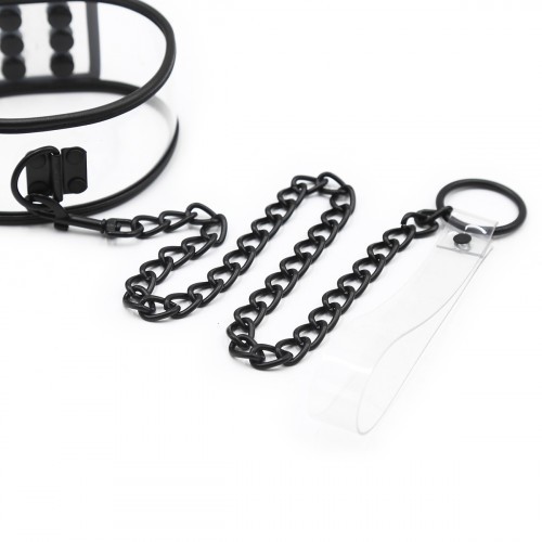 Transparent Collar and Leash 46x5.5cm