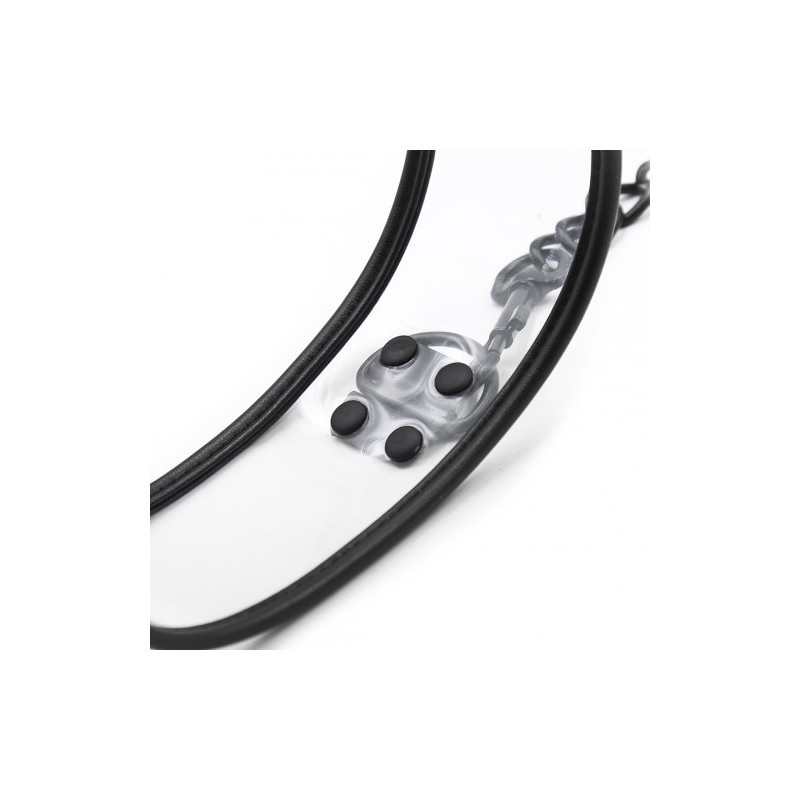 Transparent Collar and Leash 46x5.5cm