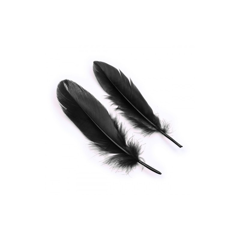 Σετ για αρχάρια ζευγάρια  &quotΘά σε Τιμωρήσω&quot για ότι έχεις κάνει