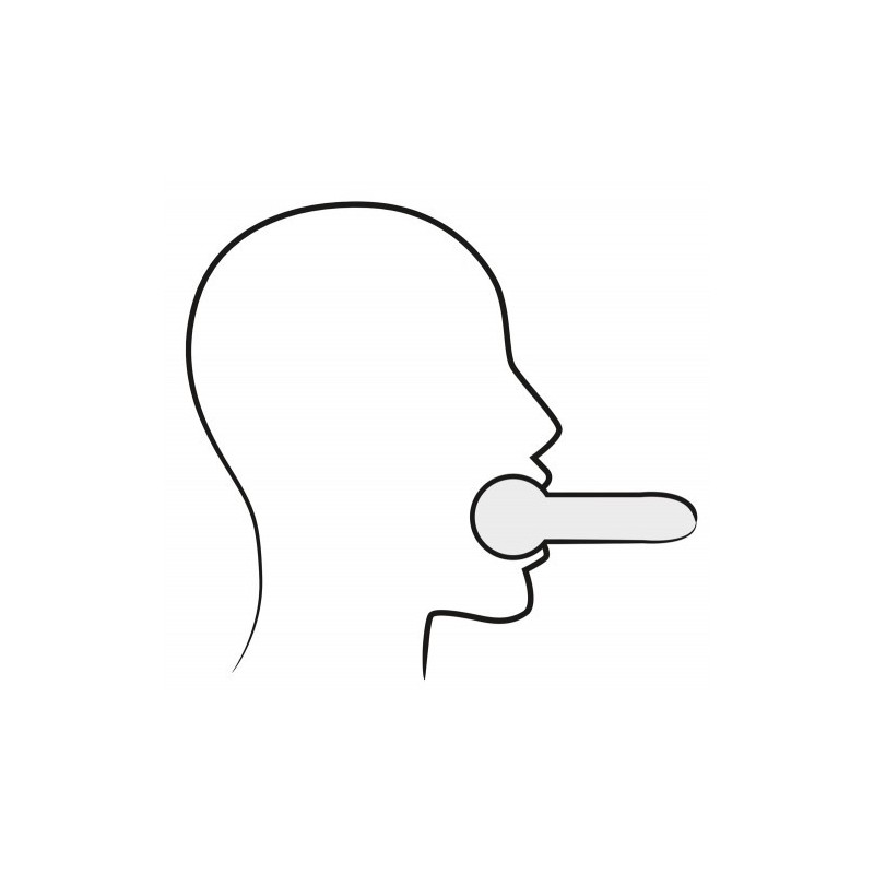 ZADO Leather Head Mask and Gag