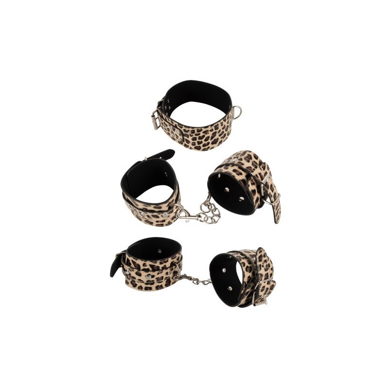 Master and Slave BDSM Game