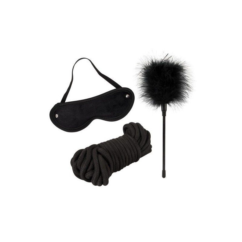 Master and Slave BDSM Game