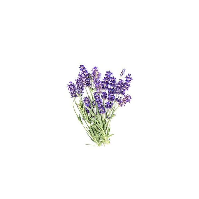 Jo Λιπαντικό Μασάζ Λεβάντα με βάση την σιλικόνη 30ml