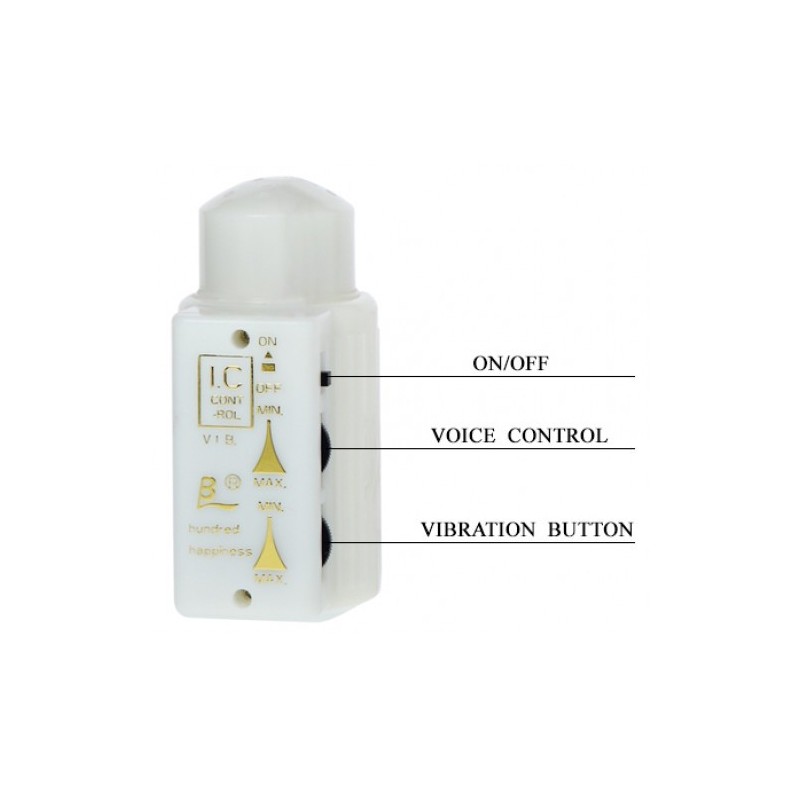 Ο Μεγάλος Εραστής Mr. Big 21 εκ