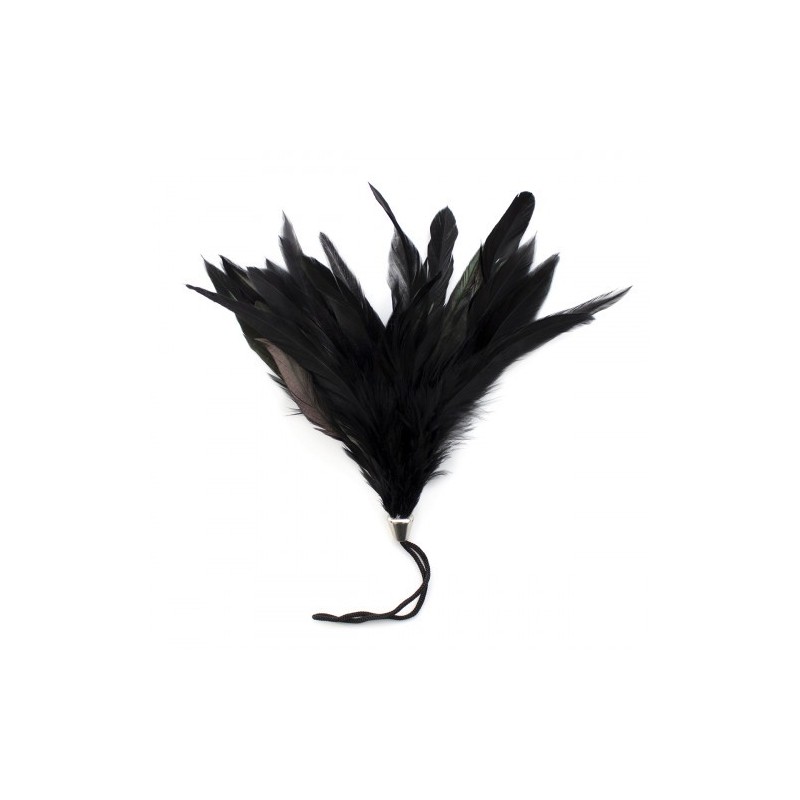 Μικρή Μαύρη φτερωτή ξεσκωνίστρα πουπουλένια γαργαλίστρα 17 cm