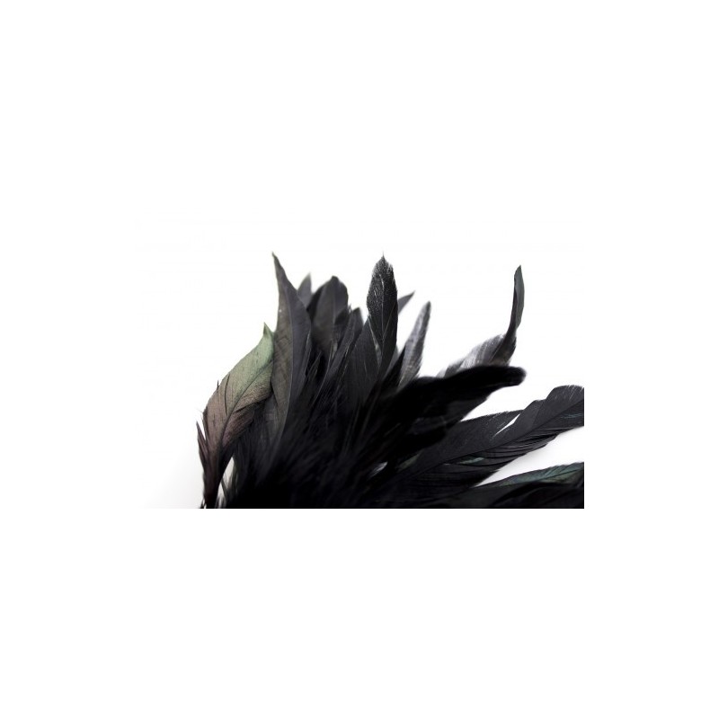 Μικρή Μαύρη φτερωτή ξεσκωνίστρα πουπουλένια γαργαλίστρα 17 cm