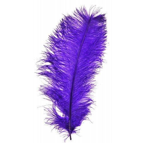 Αισθησιακή Μωβ Φτερωτή Γαργαλίστρα 46 εκ