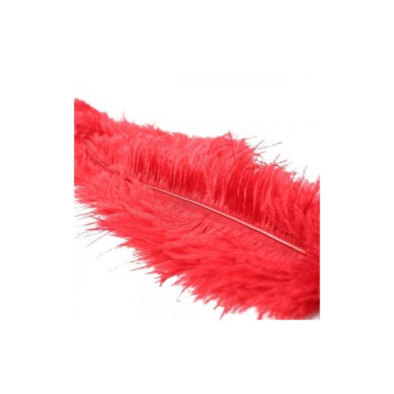Αισθησιακή Κόκκινη Φτερωτή Γαργαλίστρα 46 εκ