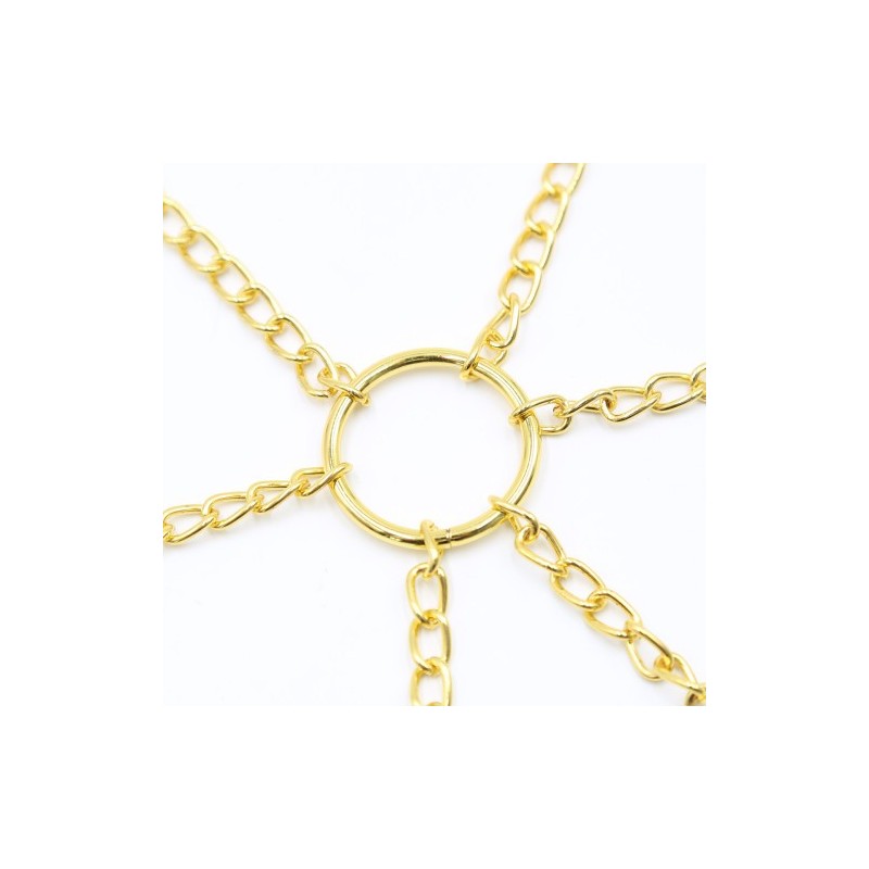 Χρυσή Αλυσίδα με Σφικτήρες Θηλών &amp Αιδοίου