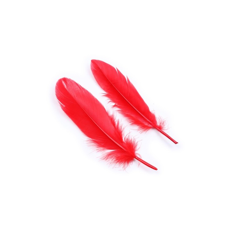 Σετ ερεθισμού και τιμωρίας για αρχάρια ζευγάρια  &quotΘά σε Τιμωρήσω&quot ατακτουλα