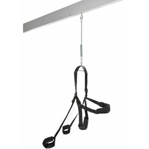 Κούνια Fetish Fantasy Swing σε μαύρο χρώμα (sex-swing)