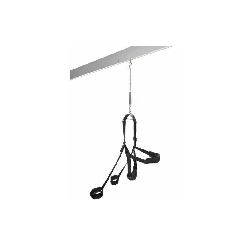 Κούνια Fetish Fantasy Swing σε μαύρο χρώμα (sex-swing)